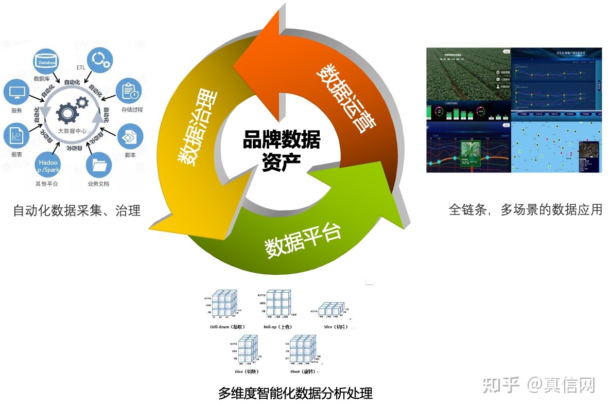 真信觀察 從戰(zhàn)術到戰(zhàn)略——品牌的數字化轉型之路